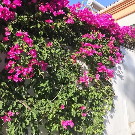 Holiday home Casa Milo Nerja